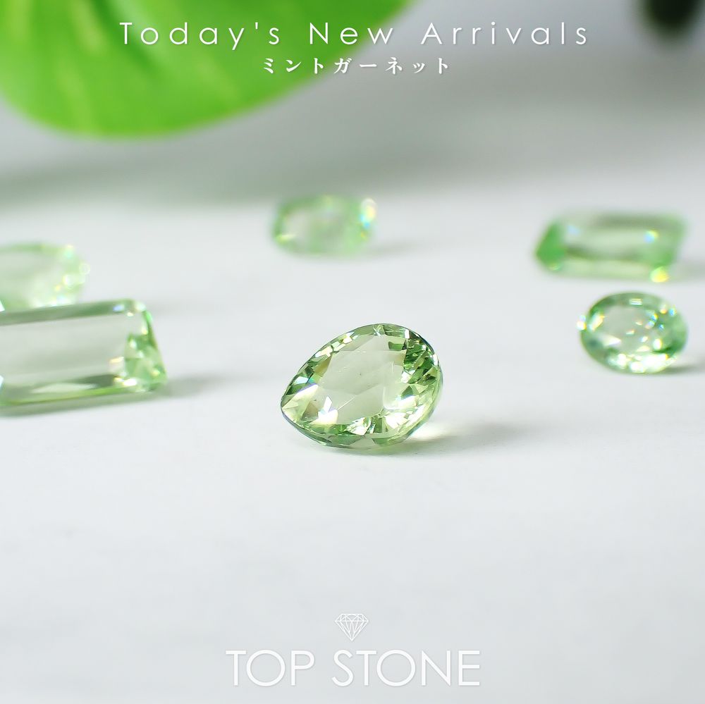 ’25 10月27日（月）新着 | ミントガーネット