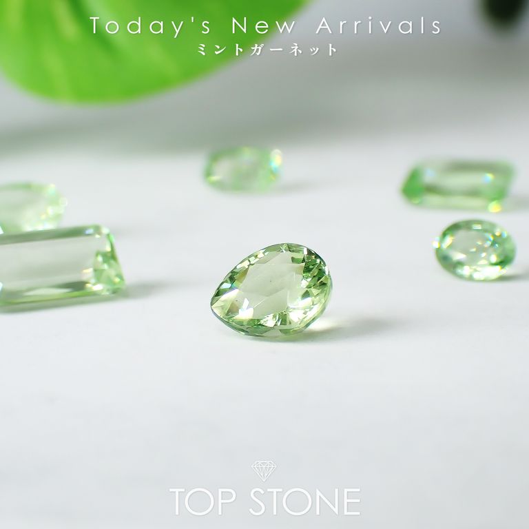 ’25 10月27日（月）新着 | ミントガーネット