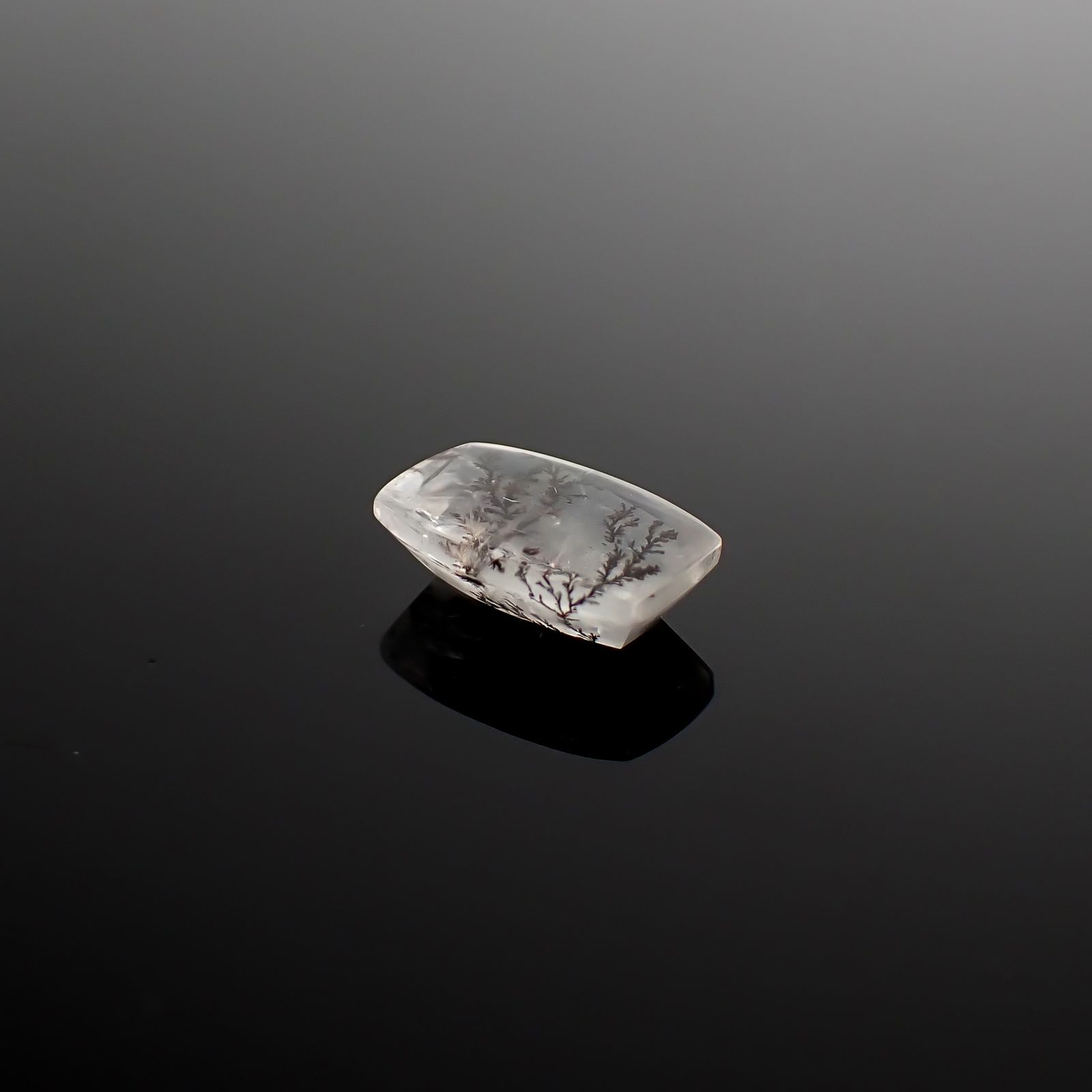 デンドリチッククォーツ ブラジル産 3.24ct / 12.3x7.5mm前後 [260832748]