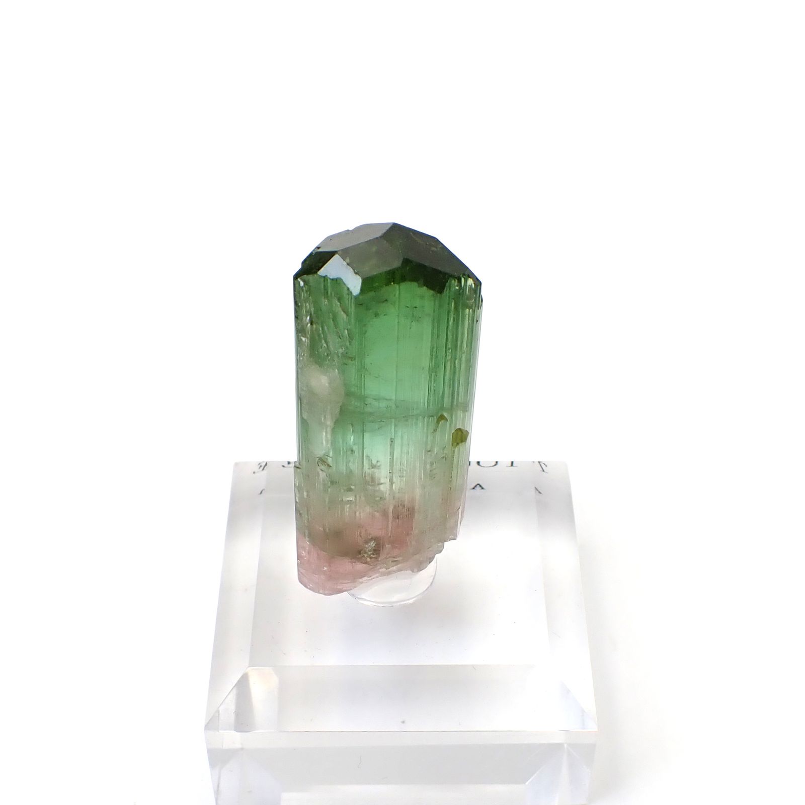 トルマリン柱状結晶原石 アフガニスタン・クナル州産 アクリル台座付き 95.18ct(19.03g) / 13.3x18.2x41.1mm前後 [260632365]