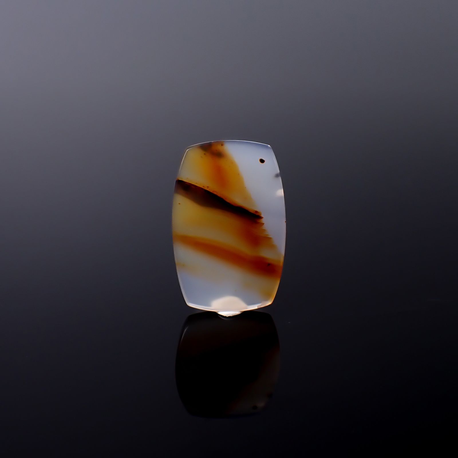 モンタナアゲート アメリカ・モンタナ州産 11.88ct / 25.8x16.9mm前後 [260832759]