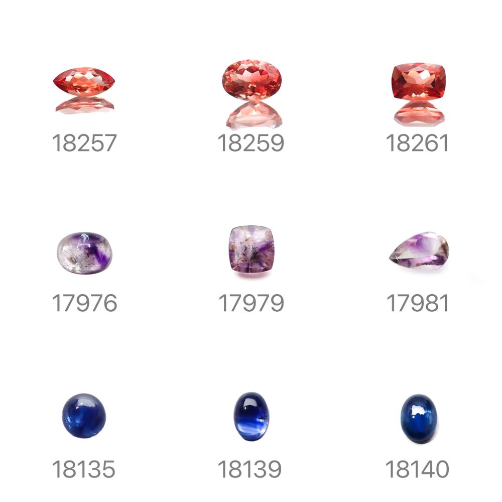 22/10/17 新発売!18アイテム