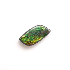 ◇フリーフォーム◇アンモライト トリプレット カナダ産 1.73ct[230823121]12.3x6.6mm前後