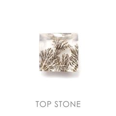 デンドリチッククォーツ ブラジル産 ルース 8.12ct[20084954]12.2×12.3mm前後