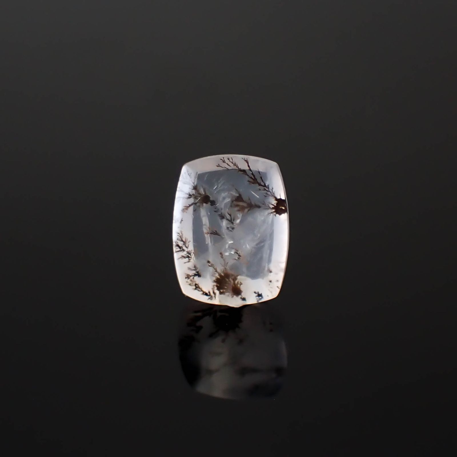 デンドリチッククォーツ ブラジル産 4.02ct [250330083]12.5x9