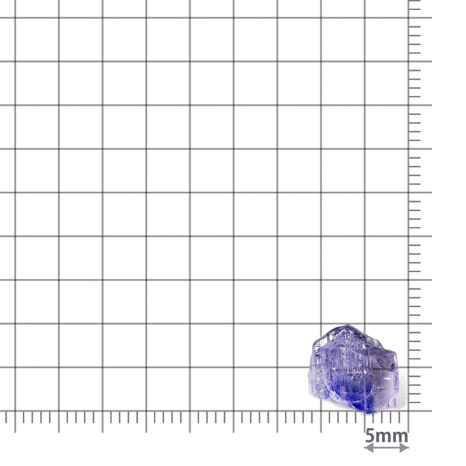 バイカラータンザナイト 原石 タンザニア産 3.52ct / 10.1x8.9mm前後 [260424985]