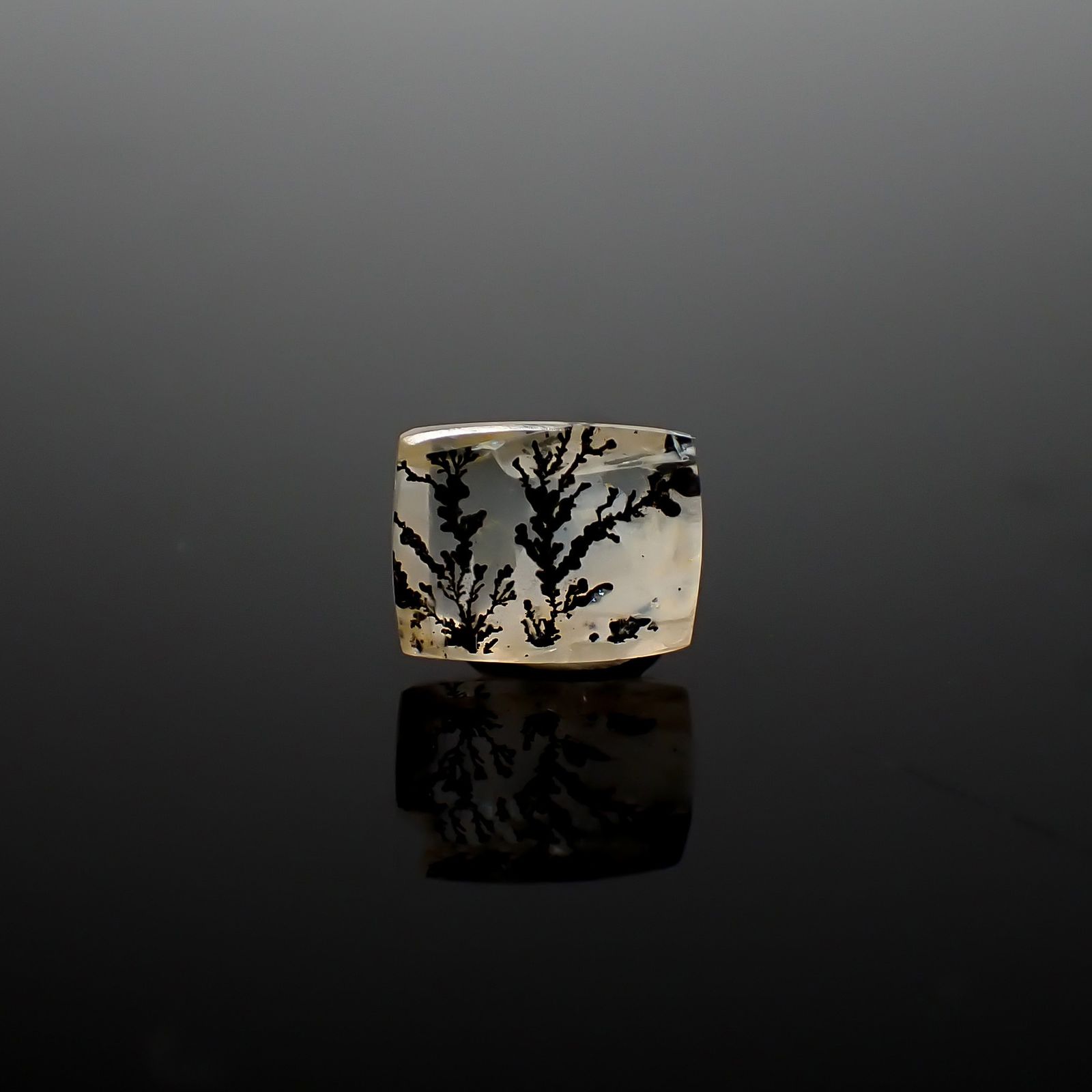 デンドリチッククォーツ ブラジル産 1.22ct / 7.7x6.1mm前後 [260832746]