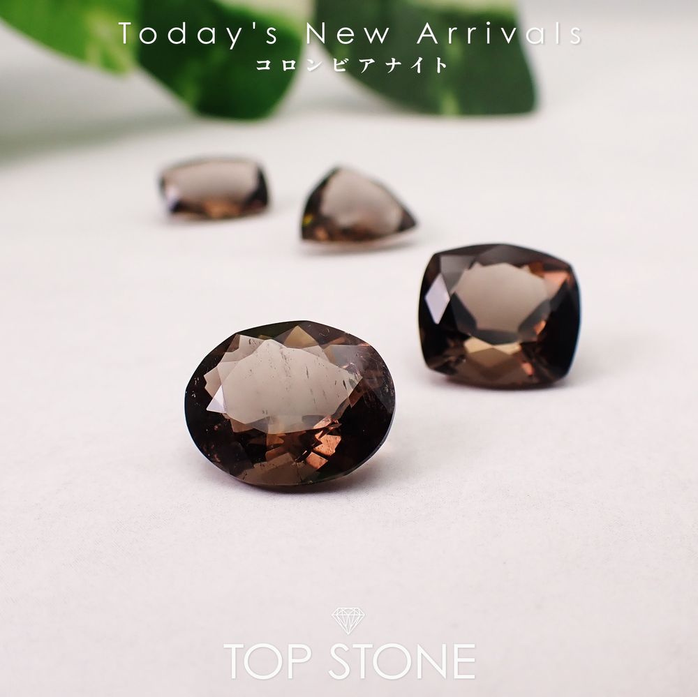 ’26 4月9日（木）新着 | コロンビアナイト