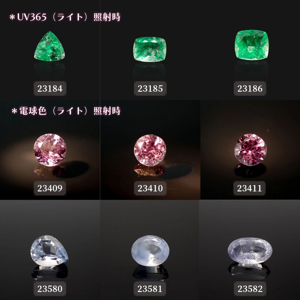 ’23 10月24日（火）新着9アイテム