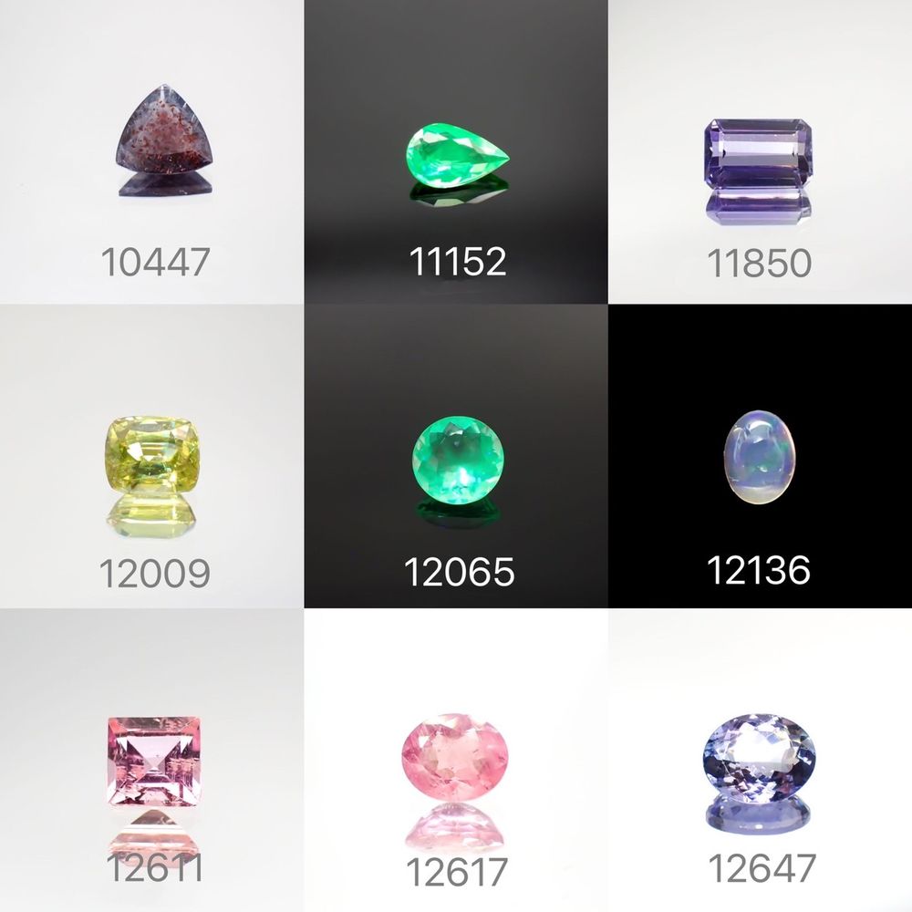 21/10/28 新発売!107アイテム