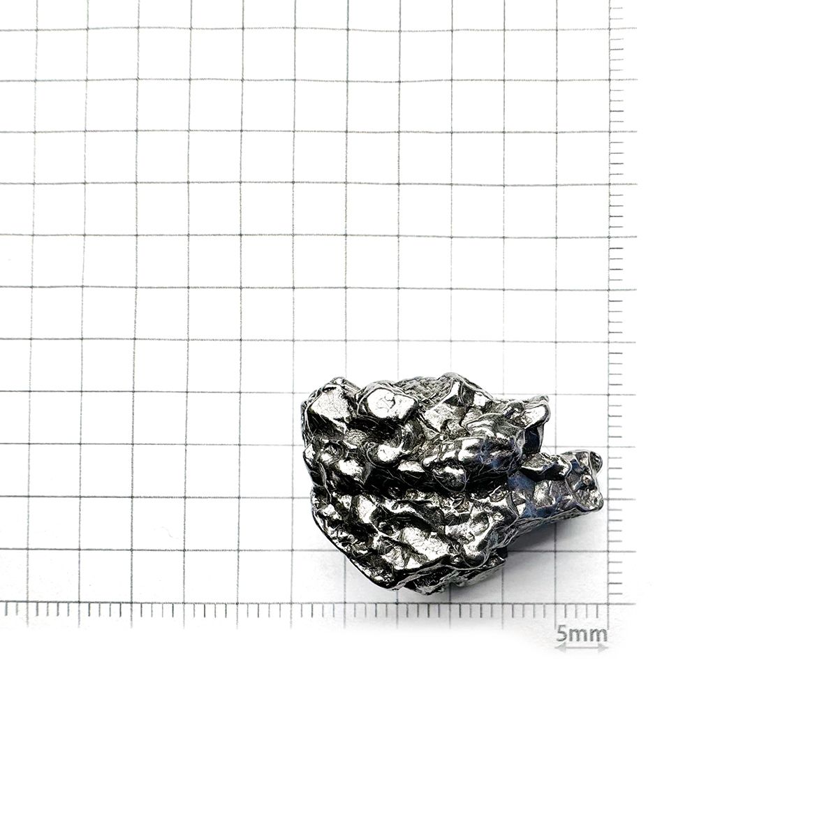 カンポ・デル・シエロ 隕石 原石 発見地：アルゼンチン 83.77ct [240125865]27.6x18.2mm前後