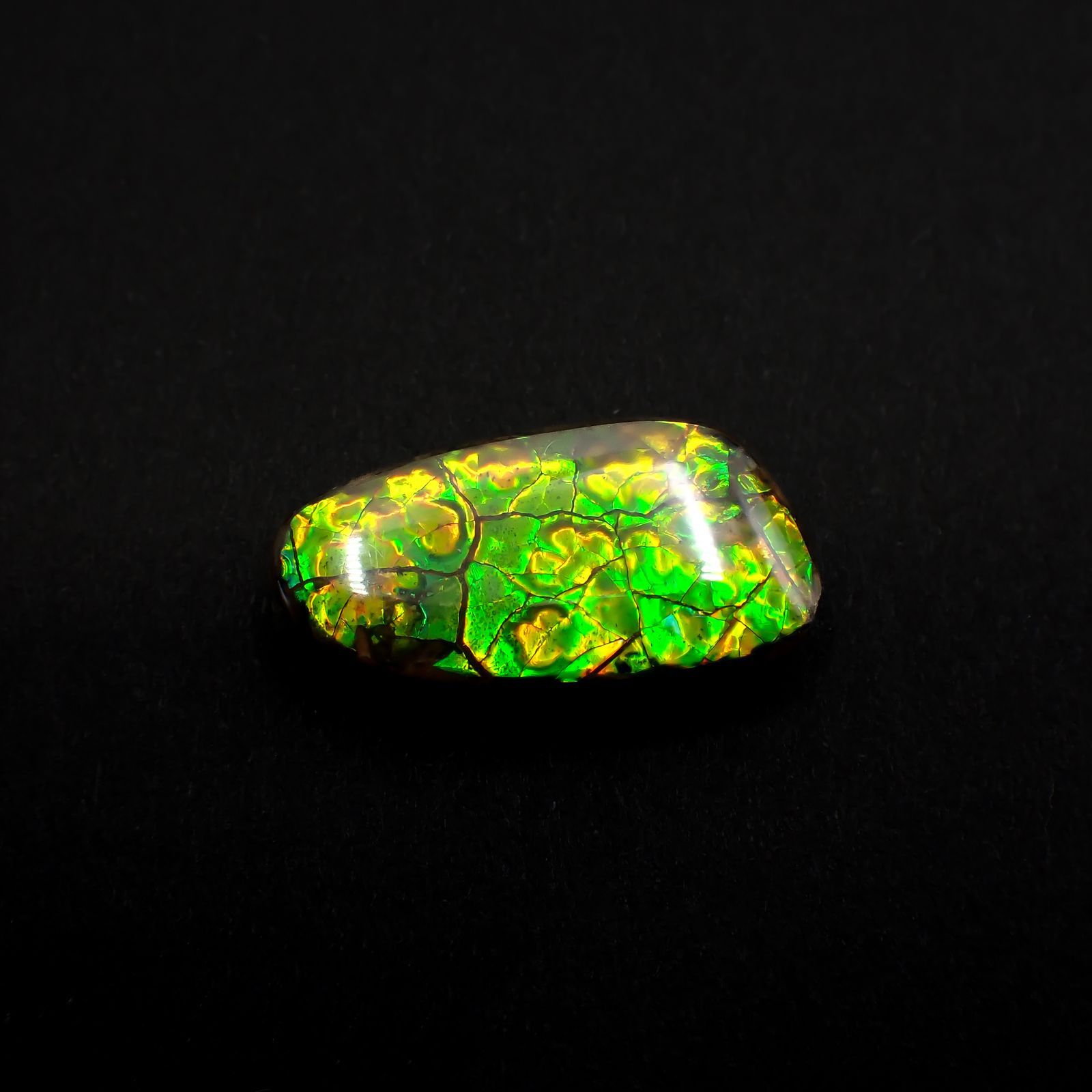 ◇フリーフォーム◇アンモライト トリプレット カナダ産 12.69ct [220817410]22.3x11.3mm前後