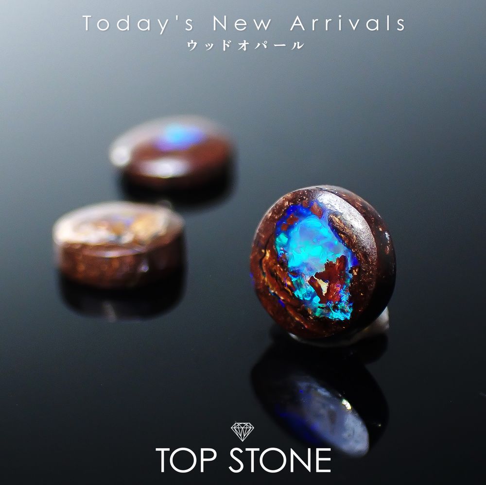 ’25 11月22日（土）新着 | ウッドオパール