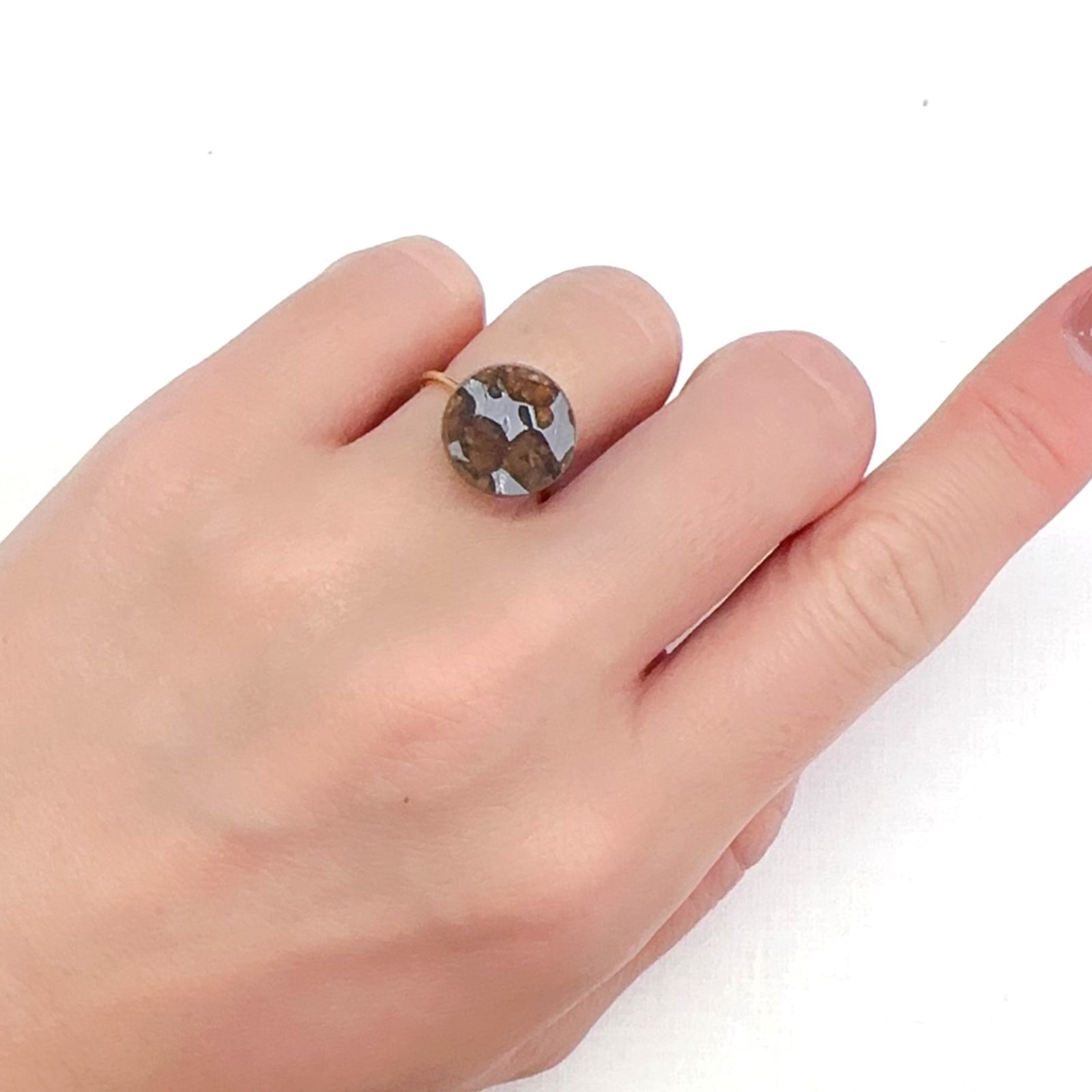パラサイト隕石Sericho トリプレット 発見地:ケニア 4.10ct[240125708]12.1x12mm前後
