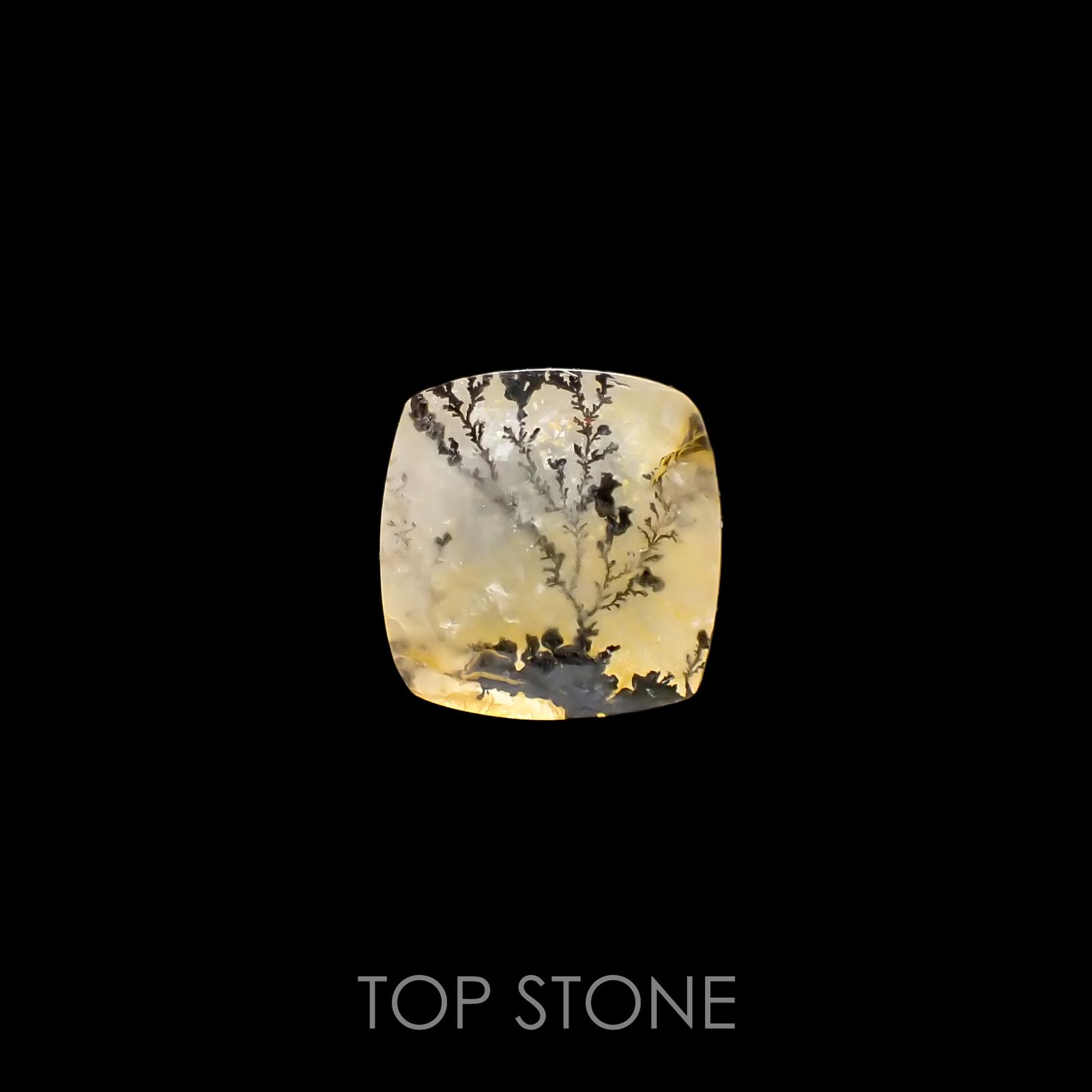 デンドリチッククォーツ ブラジル産 4.44ct[220115119]11.3x11mm前後