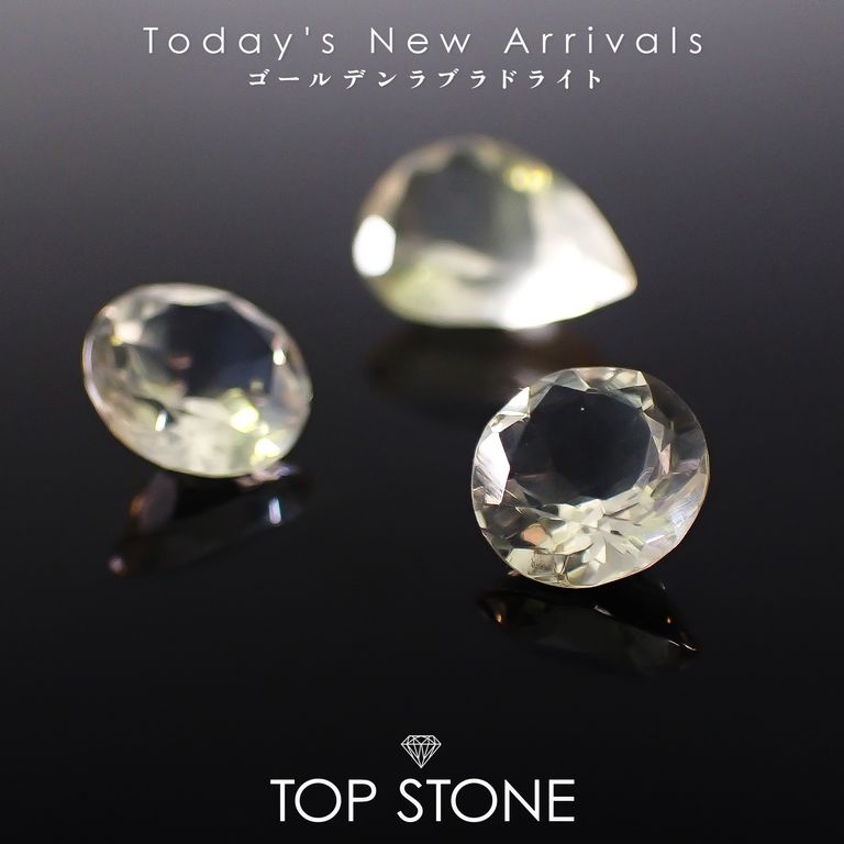 ’26 1月11日（日）新着 | ゴールデンラブラドライト