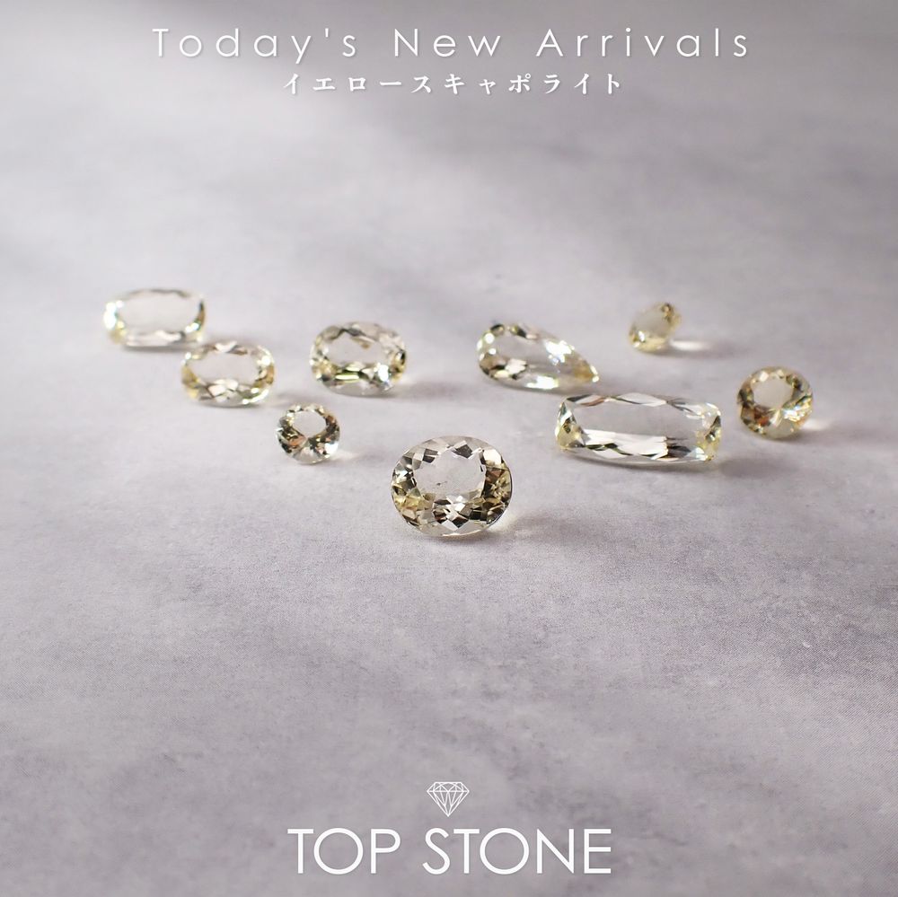 ’25 12月12日（金）新着 | イエロースキャポライト