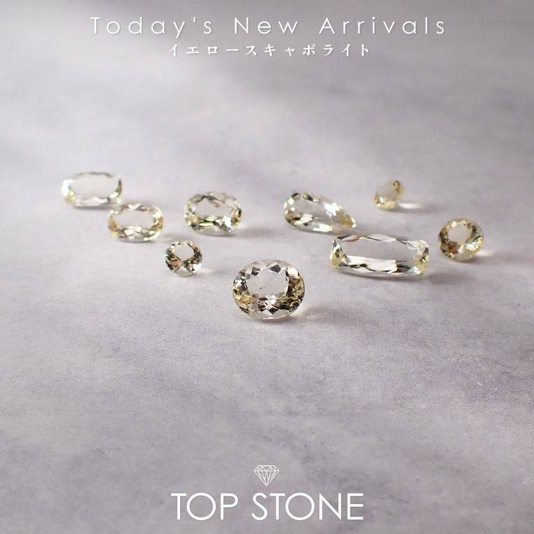 ’25 12月12日（金）新着 | イエロースキャポライト