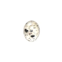 ヘマタイトインクォーツ 中国産 10.93ct[220115244]15.2x12mm前後