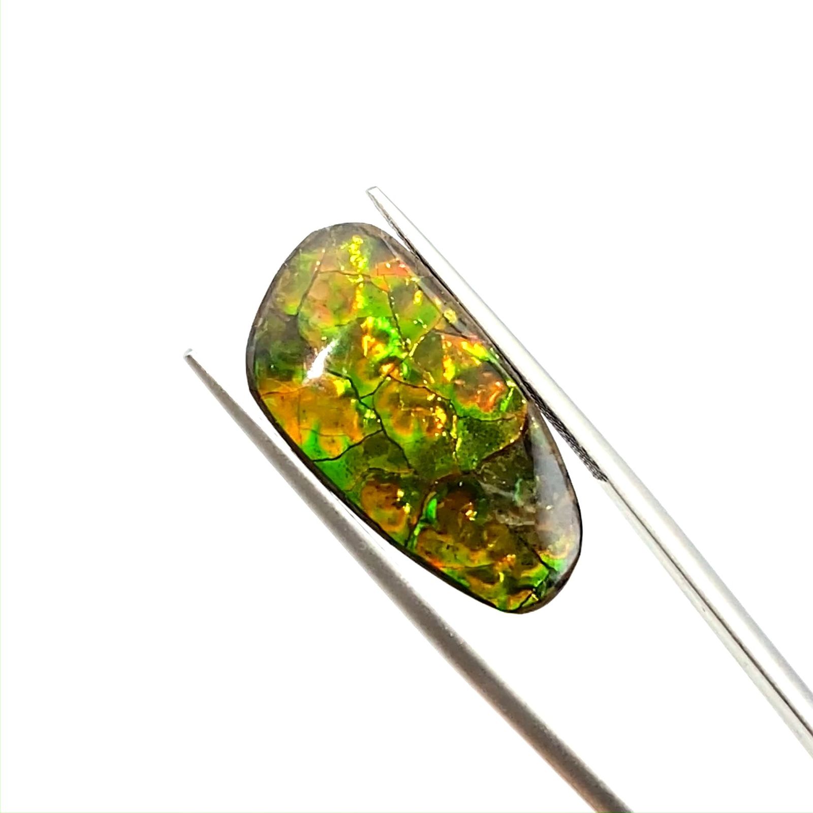 ◇フリーフォーム◇アンモライト トリプレット カナダ産 12.69ct