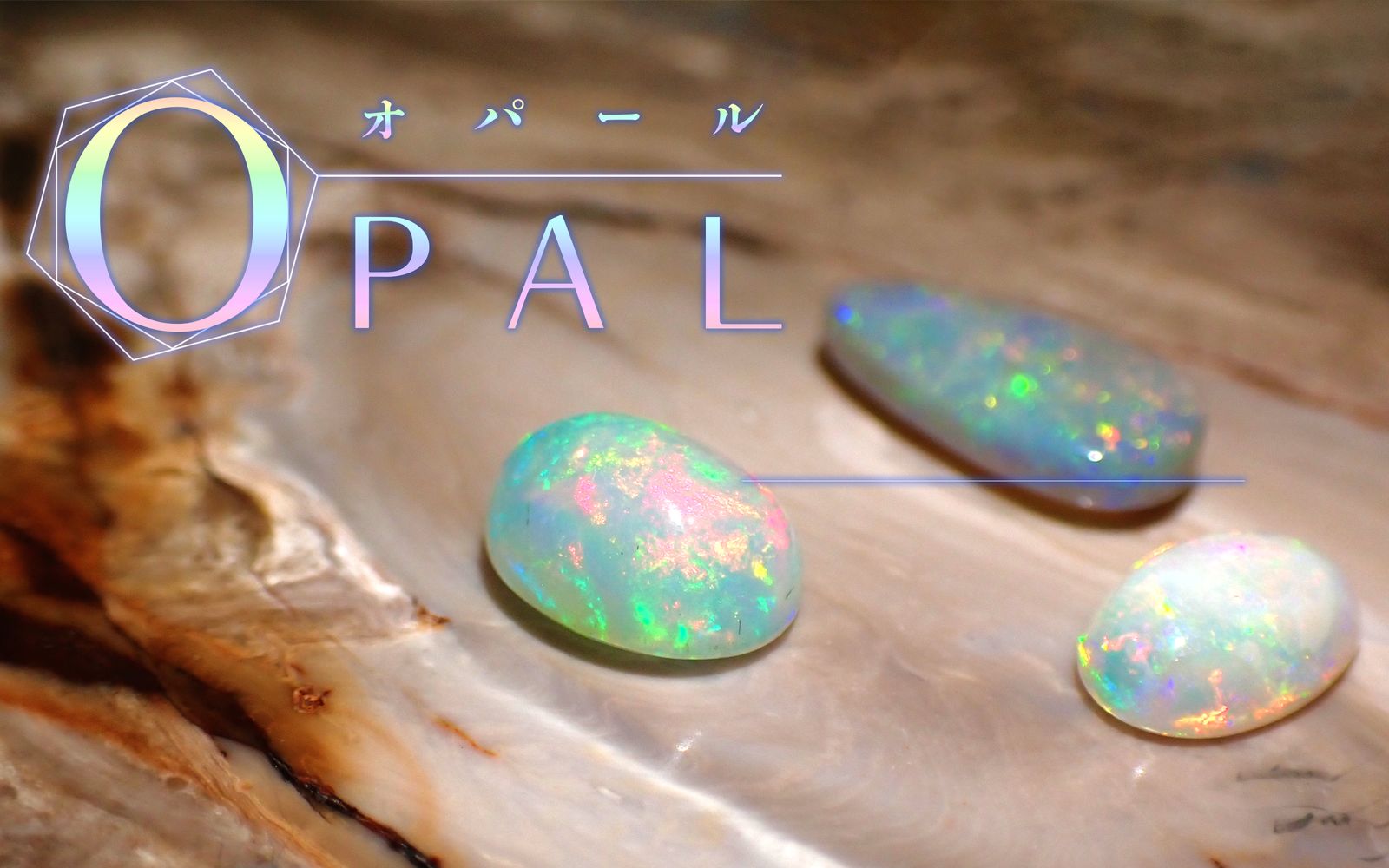 オパール / Opal | TOP STONE(トップストーン)