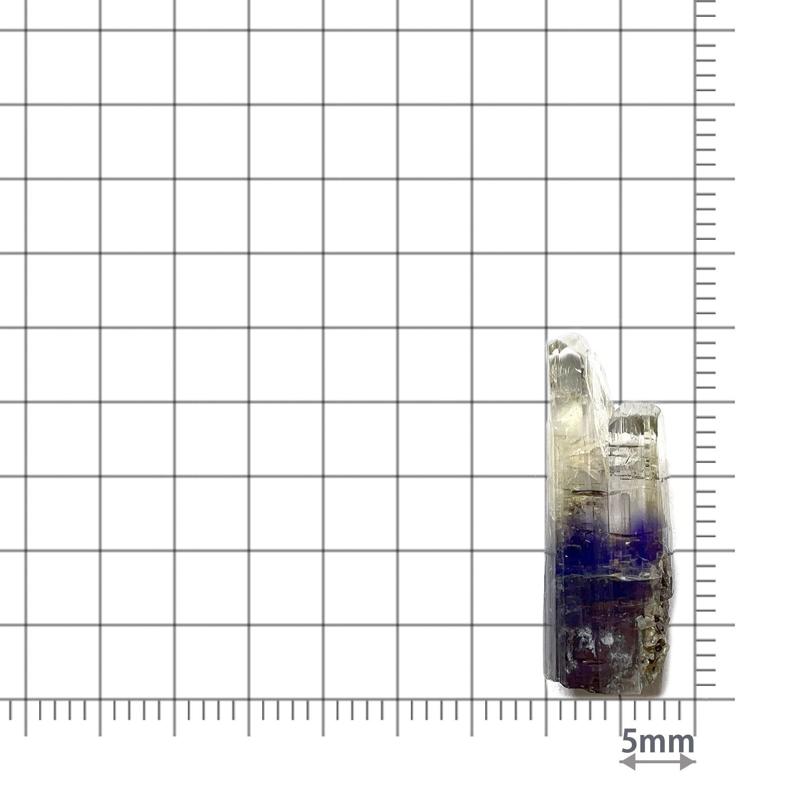 バイカラータンザナイト 原石(宝石名バイカラー・ゾイサイト)タンザニア産 ソ付(彩珠) 12.250ct / 22.8x8.3mm前後 [231023844]