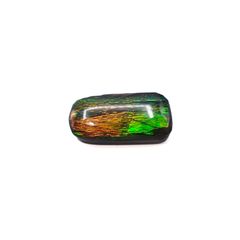 ◇フリーフォーム◇アンモライト トリプレット カナダ産 12.83ct [220817489]22.5x10.7mm前後