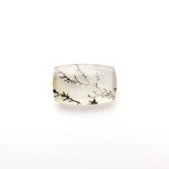 デンドリチッククォーツ ブラジル産 9.57ct[230421737]18.6x11.9mm前後