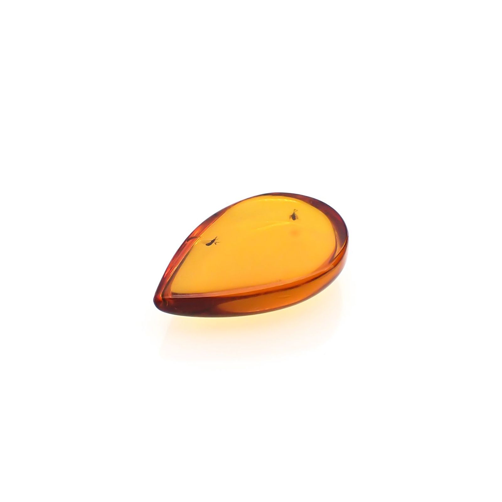 虫入り琥珀 コロンビア産 12.31ct [221018548]29.3x20.5mm前後