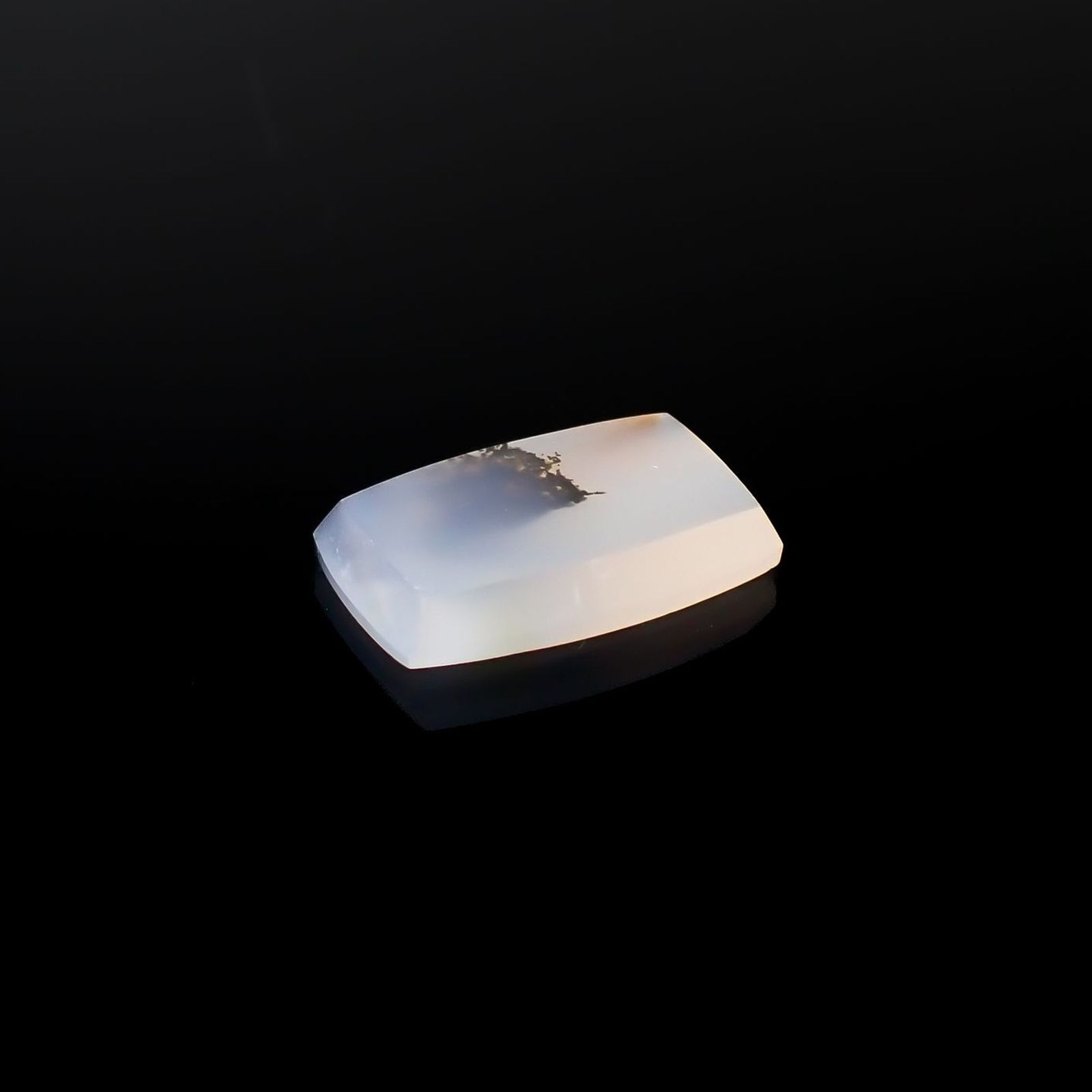 モンタナアゲート アメリカ・モンタナ州産 11.91ct / 21.2x13.1mm前後 [260127119]