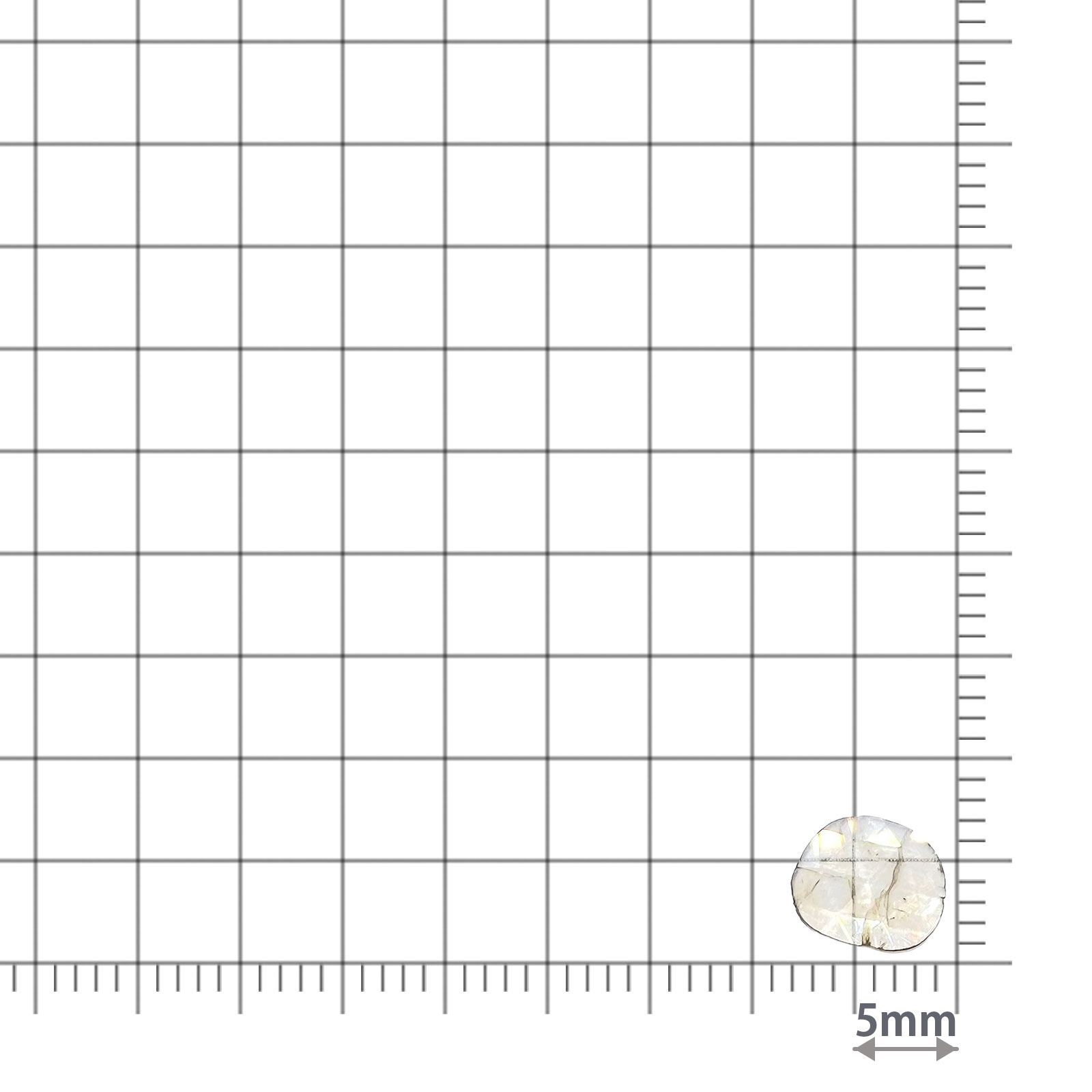 スライスダイヤモンド 0.37ct / 7.5x6.5mm前後 [260323607]