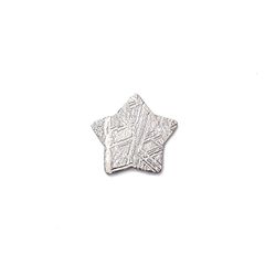 ◇カスタムカット・スター◇アルタイ隕石 発見地：中国 0.92ct [250330015]9.7x8.8mm前後