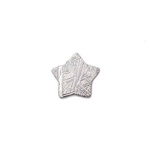 ◇カスタムカット・スター◇アルタイ隕石 発見地：中国 0.92ct [250330015]9.7x8.8mm前後