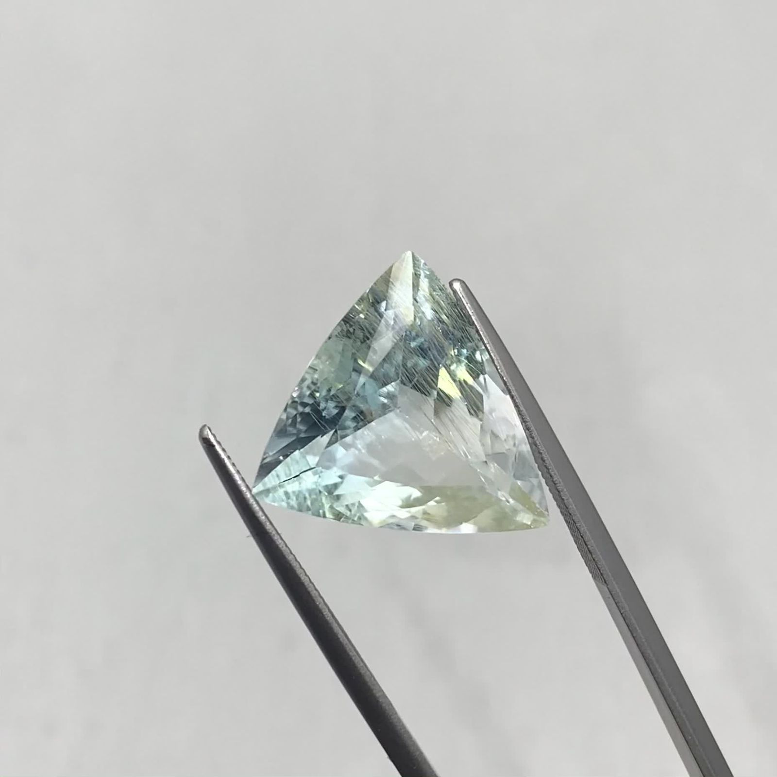 M*i様 ニウエ・タートル (ゴールド＋ルテニウム) シルバープルーフ nil due/nil un TOKYO ニルデュエニルアン ネックレス INITIAL