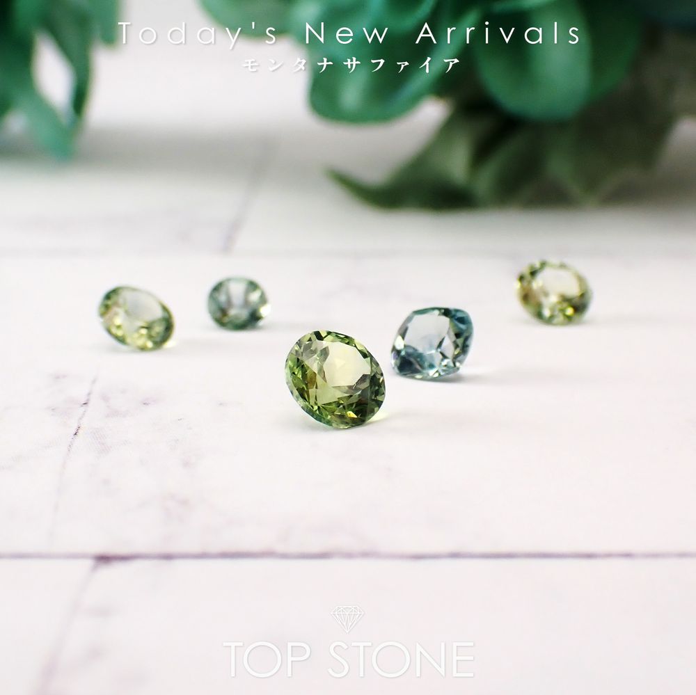 ’26 3月19日（木）新着 | モンタナサファイア