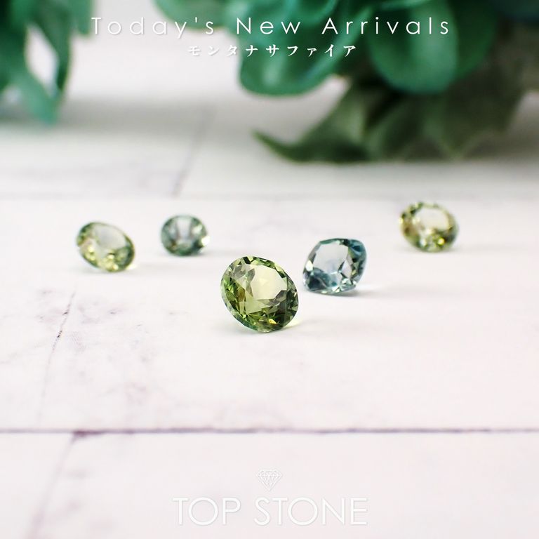 ’26 3月19日（木）新着 | モンタナサファイア