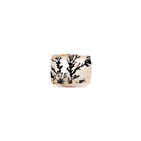 デンドリチッククォーツ ブラジル産 1.22ct / 7.7x6.1mm前後 [260832746]