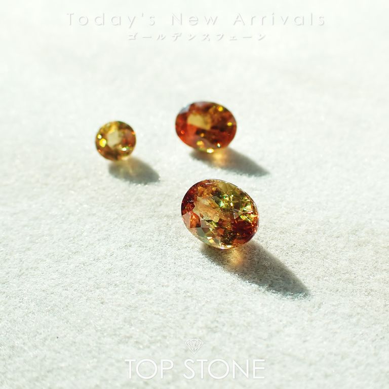 ’25 12月17日（水）新着 | ゴールデンスフェーン