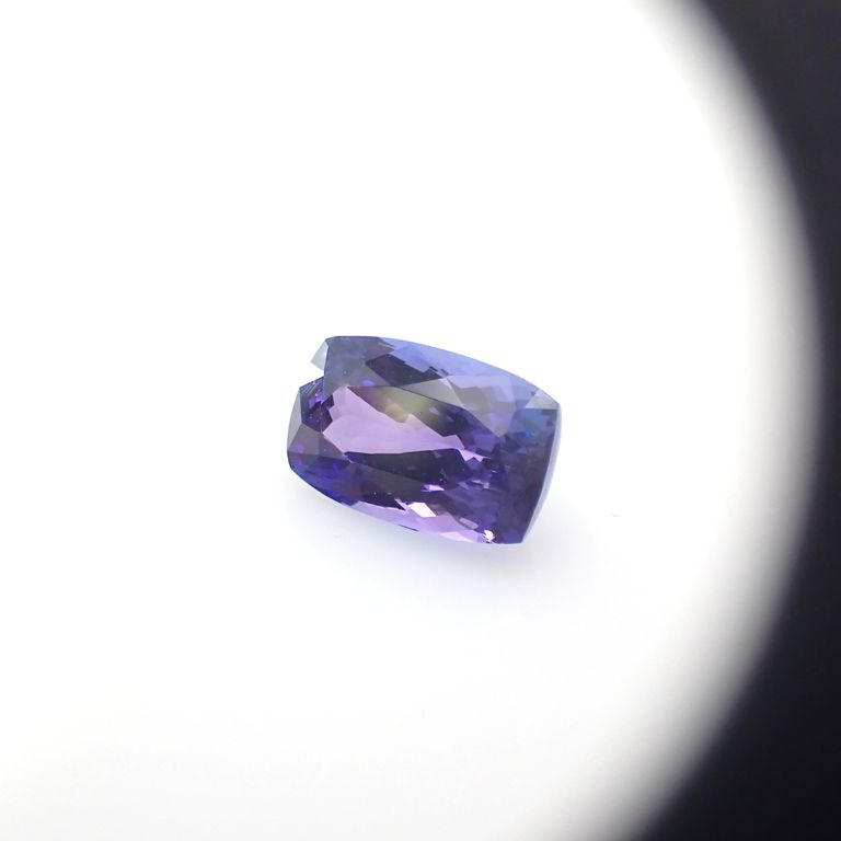 2色鏡での見え方②