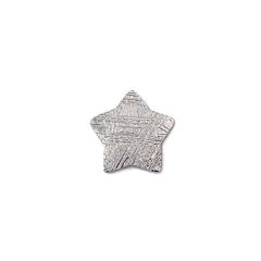 ◇カスタムカット・スター◇アルタイ隕石 発見地：中国 0.88ct [250330016]9.7x8.8mm前後