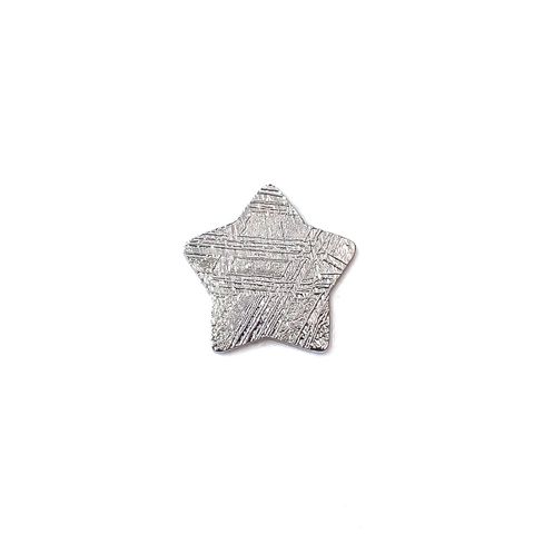 ◇カスタムカット・スター◇アルタイ隕石 発見地：中国 0.88ct [250330016]9.7x8.8mm前後