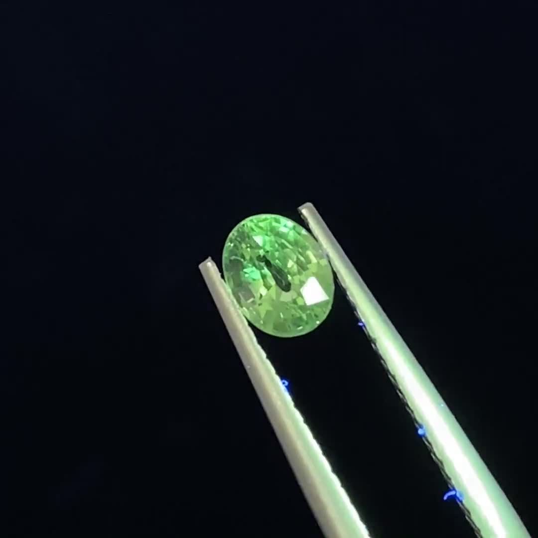 華麗なる