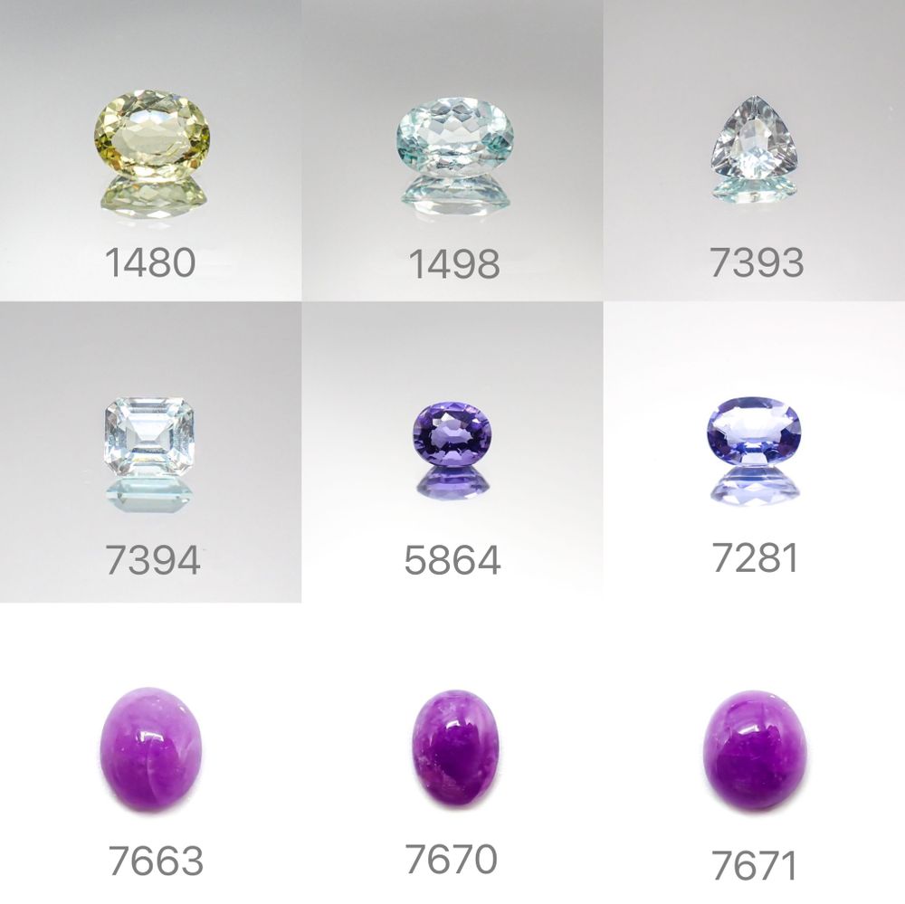 21/12/12 新発売!39アイテム