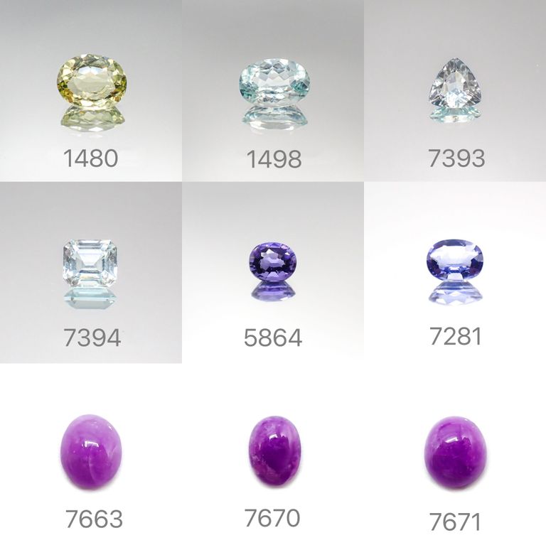 21/12/12 新発売！39アイテム