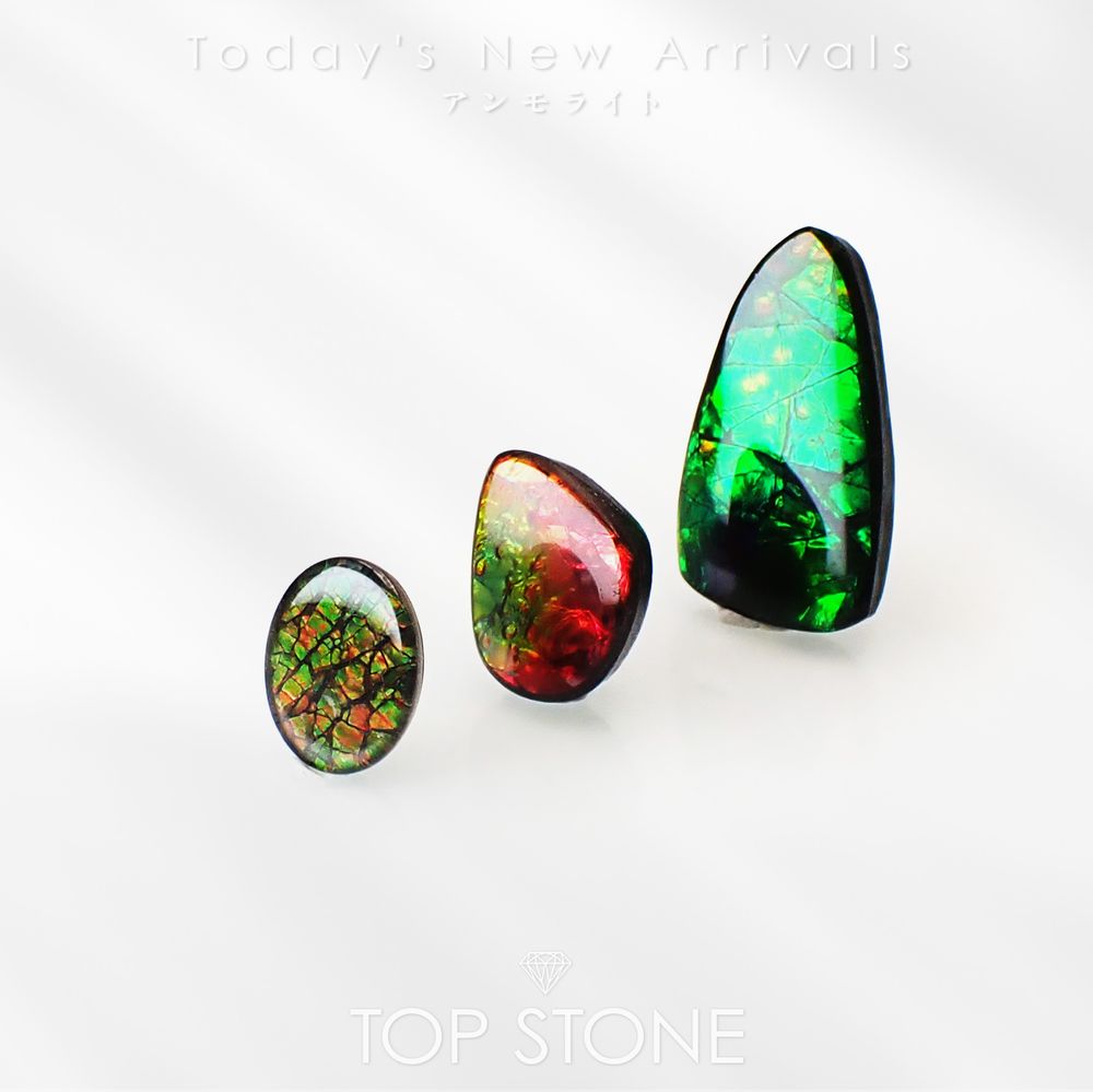 ’26 4月12日（日）新着 | アンモライト