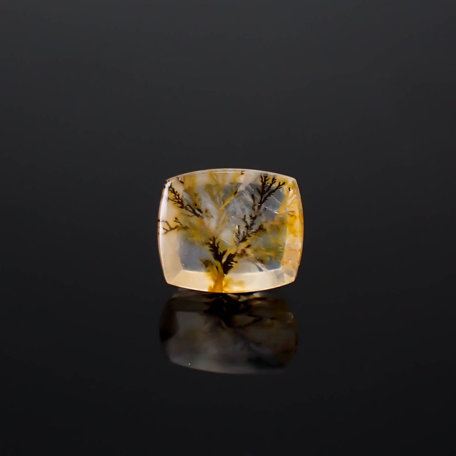 デンドリチッククォーツ ブラジル産 3.92ct [250330088]11x9.2mm前後