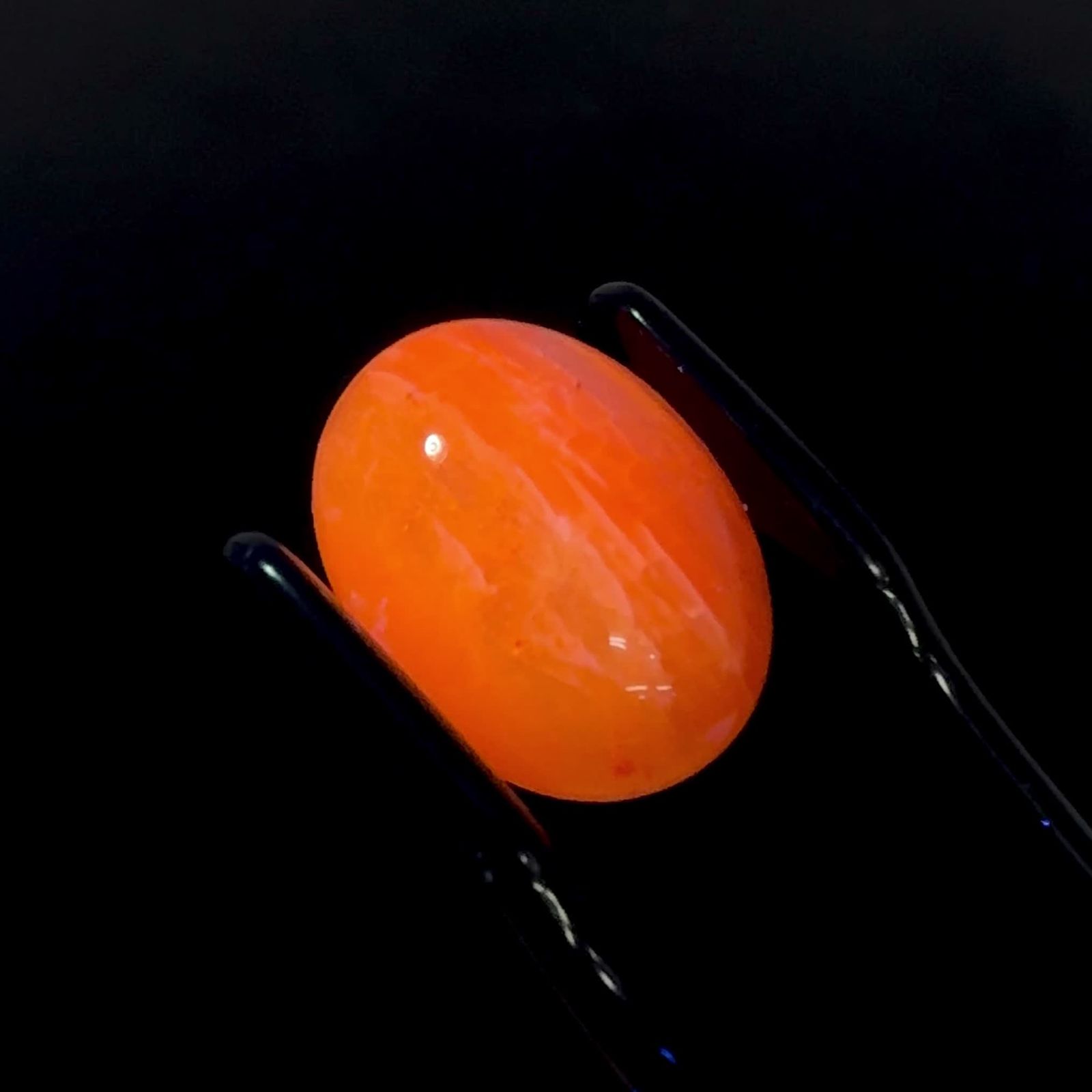 北海道オパール 北海道河東郡鹿追町然別産 5.84ct / 14.3x10.7mm前後