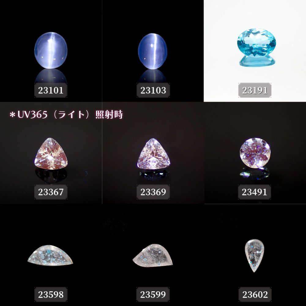 ’23 11月2日（木）新着18アイテム