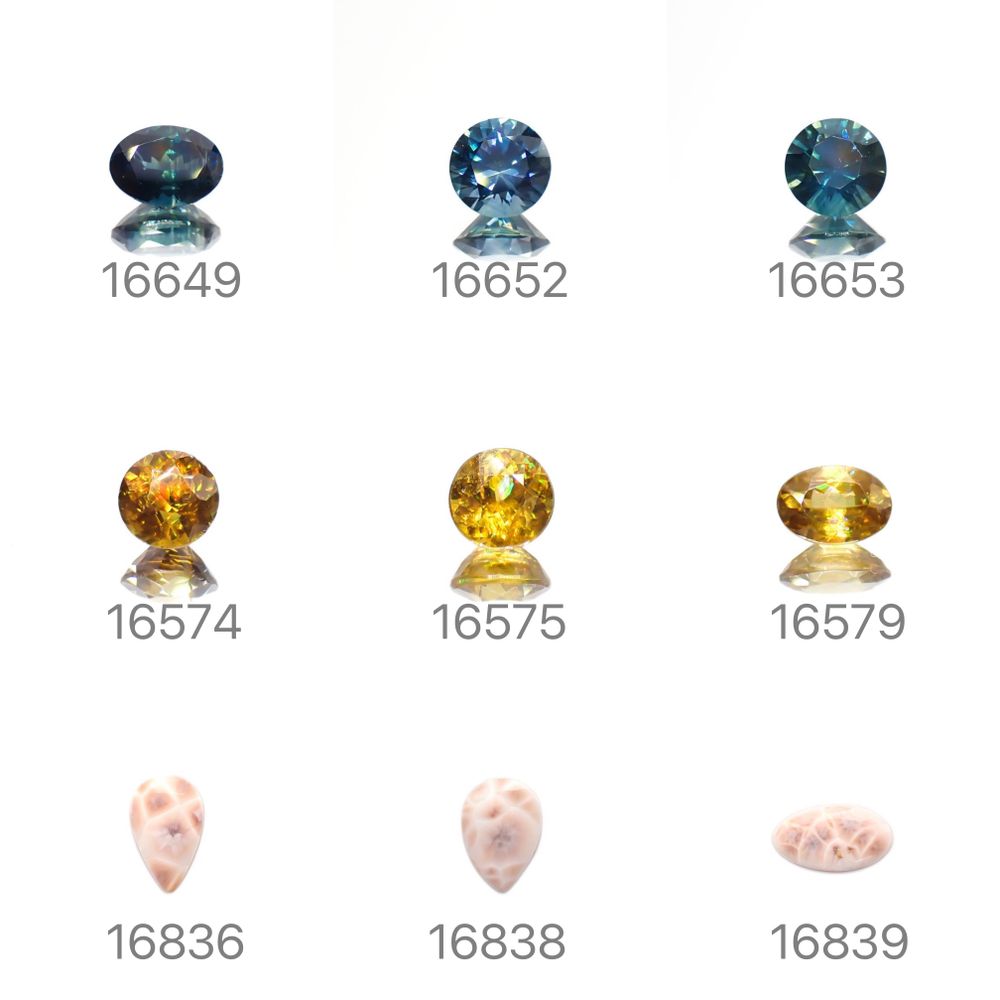 22/7/19 新発売!18アイテム