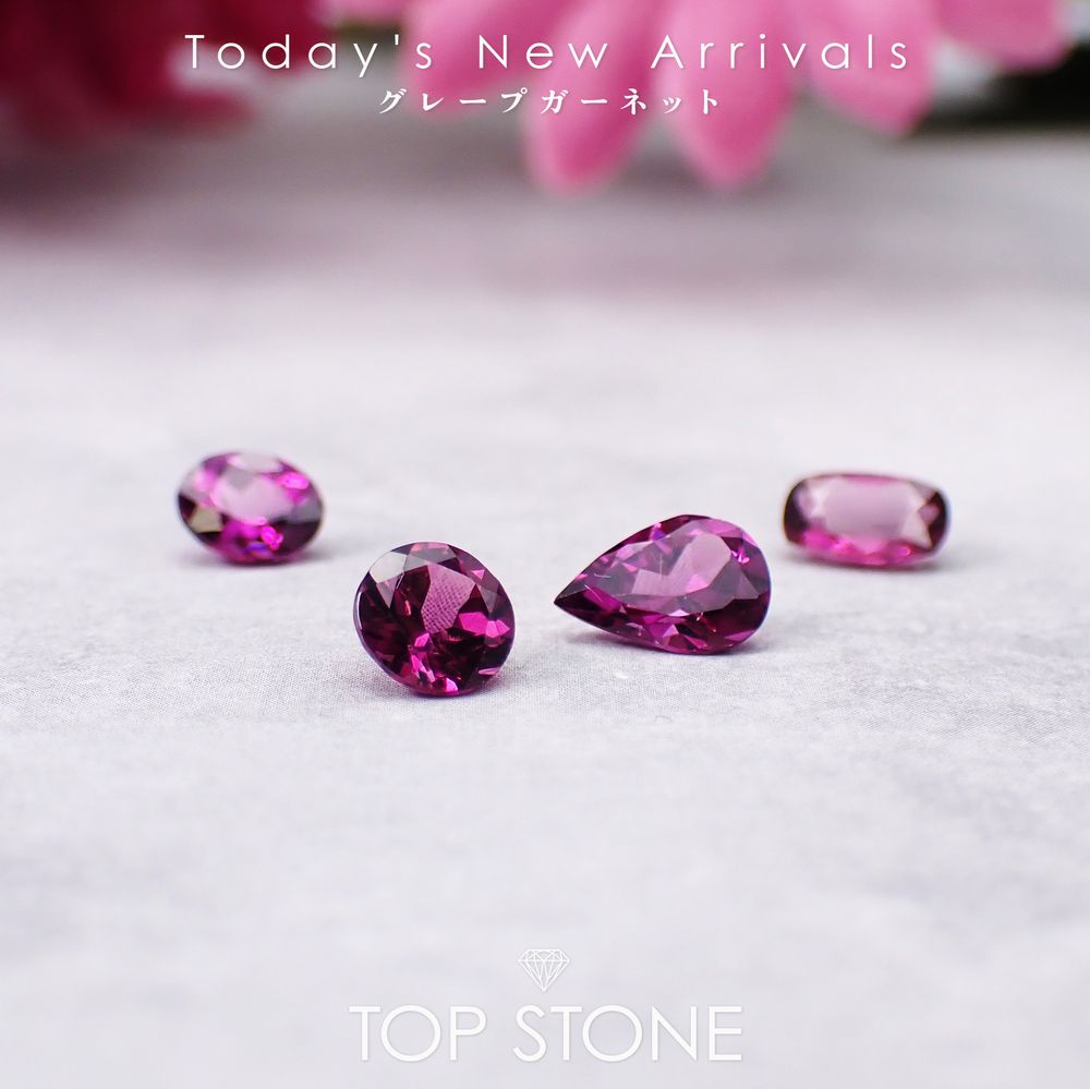 ’26 1月7日（水）新着 | グレープガーネット